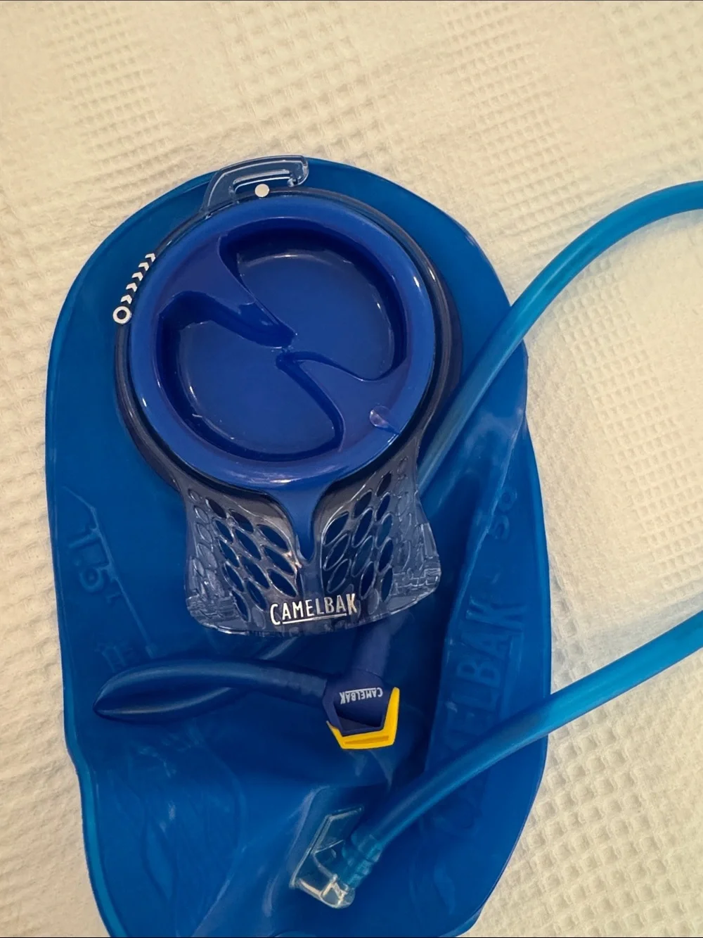 CamelBak Hot Pink Hydration Pack with Blue Reservoir